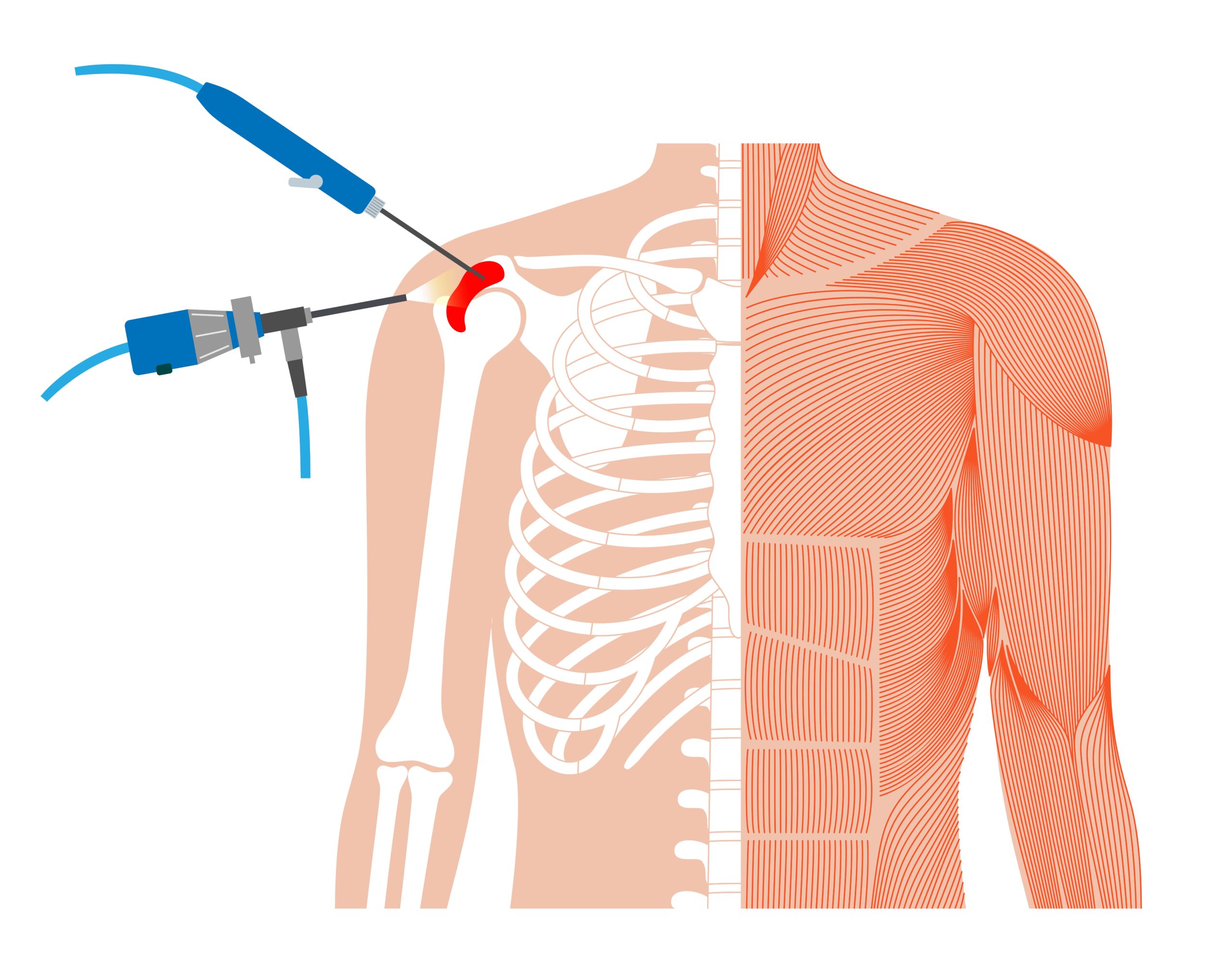 shutterstock_2342544097_bearbeitet